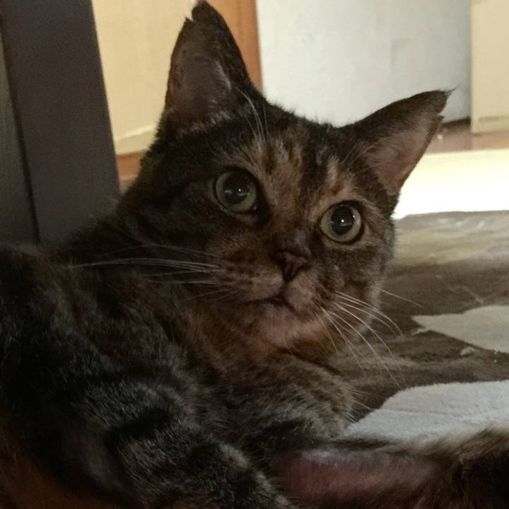 E8ed70ba db3e 4883 a48b 8d50cb522ba8