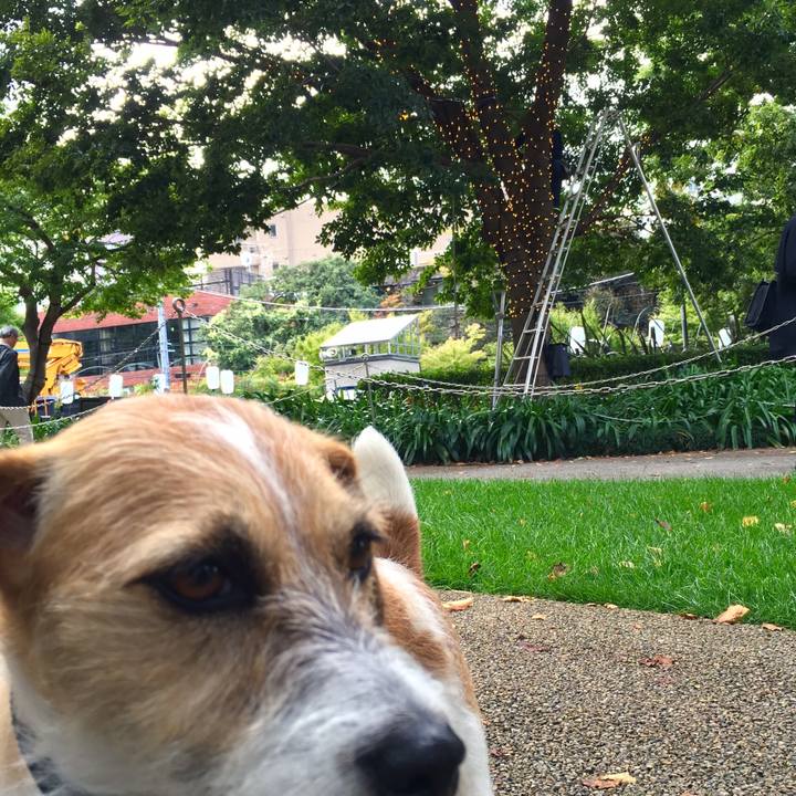 E8ed8943 2fc7 4279 906d c5e8870d83c9