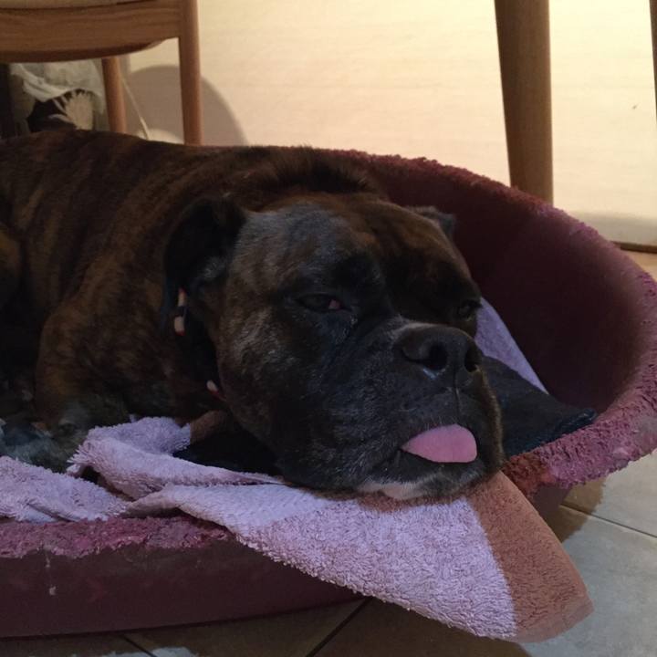 E8ef651e 01f1 4b2b a8a6 89d31f0fbb3b