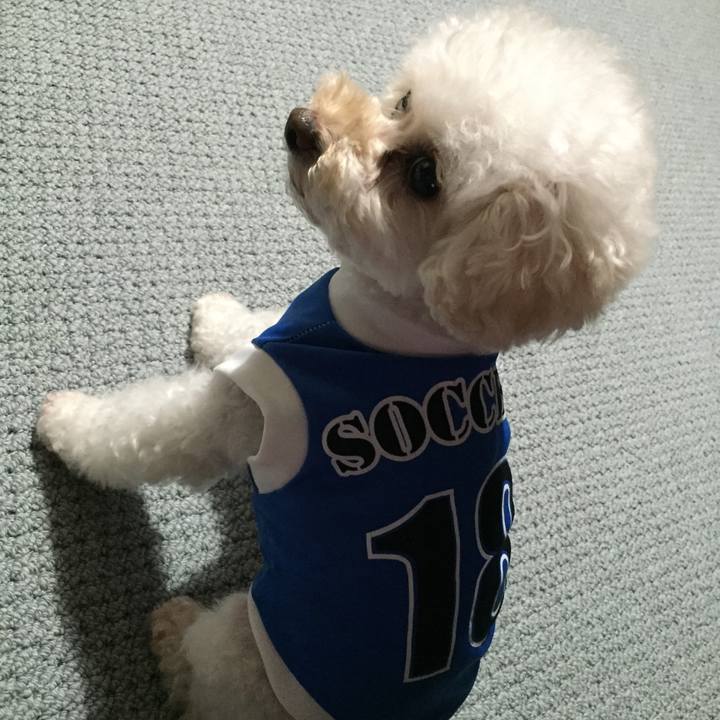 E8efa47c cf5a 4fa7 90ae 70e8b3cb9c90