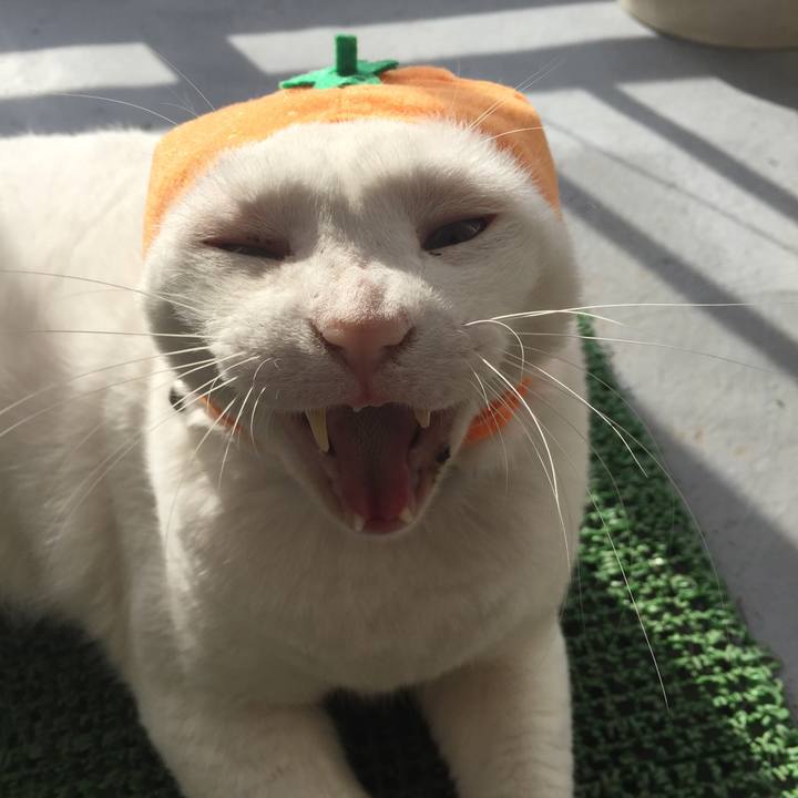 E8f049ae e909 4045 b166 5d2a825dc894