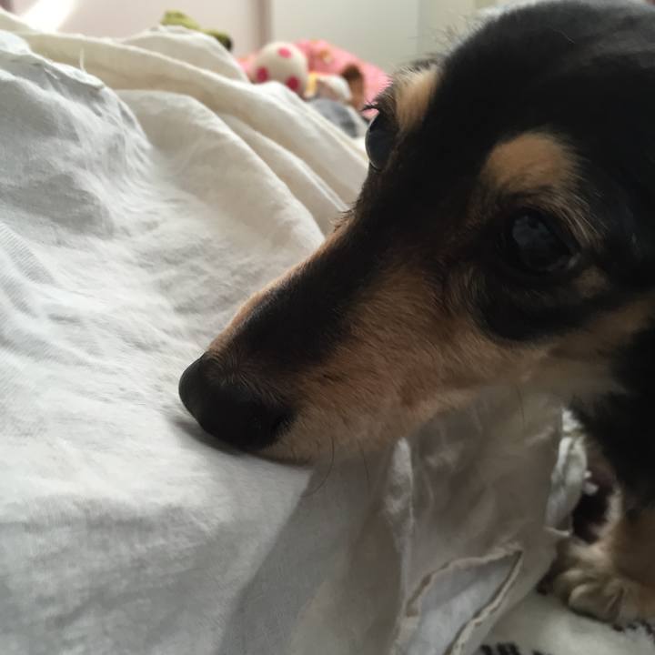 E8f04c69 b9fd 46ea bf2e b9564942a3fa