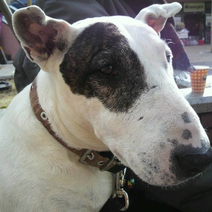 E8f0f08f ab61 4daa abb7 936096ea863a