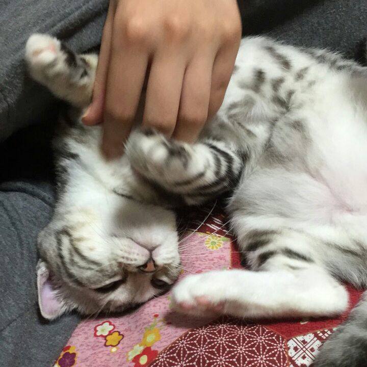 E8f13913 0c89 4e1d 8d2f e67f34196620