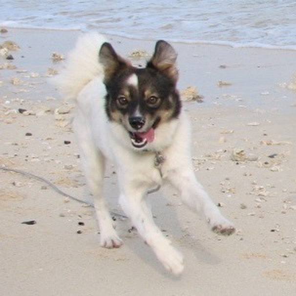 E8f158ae a14b 4071 99e0 85442c34deb2