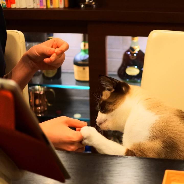 E8f1e9f0 edd6 4a07 887a 4fb353521ae4