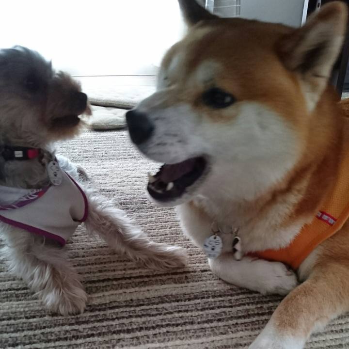 E8f275bf ac52 419c a9f3 27a4df3ff495