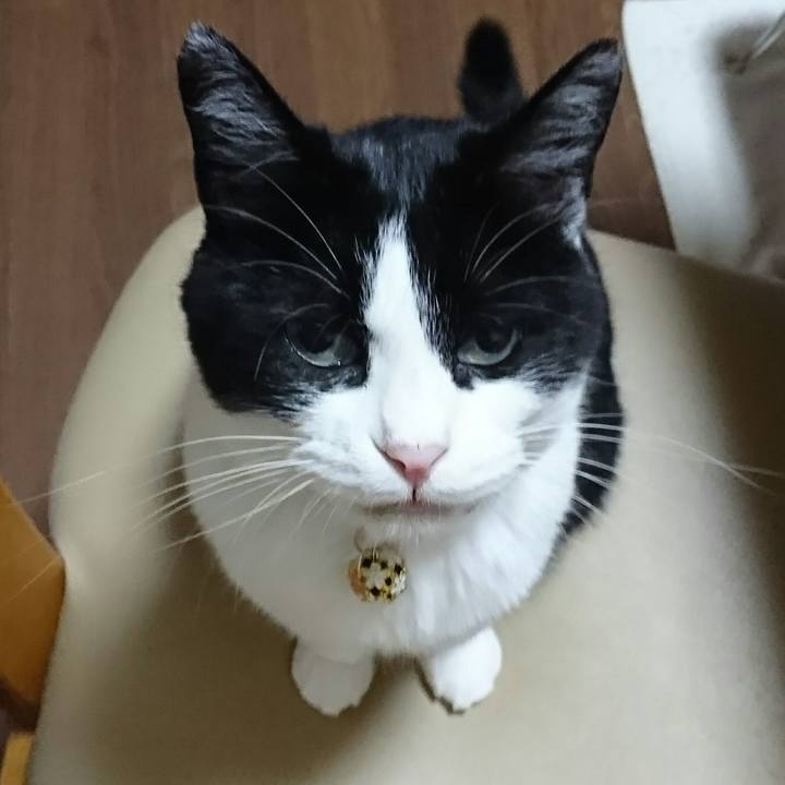 E8f27cd1 2fba 46ba 8fb4 9ed4f048b377