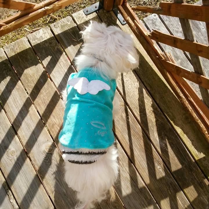 E8f27d31 2962 46b7 ac47 ca352c957573