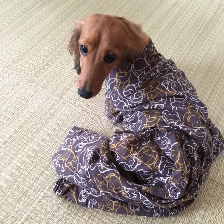 E8f2bee7 3e9c 478f a6cc cff7667bc1d6