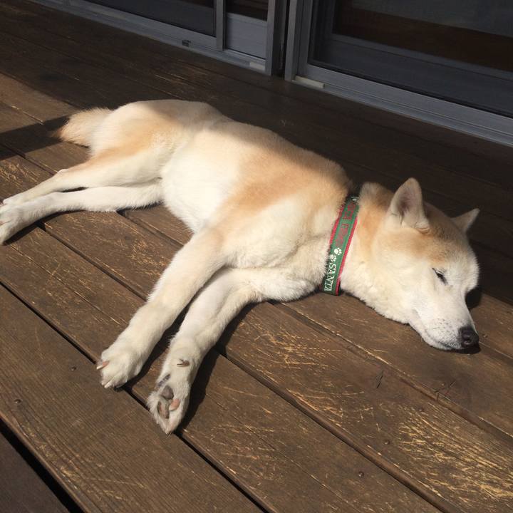 E8f2dce2 5f9d 418f 8bcf b3874f75b36c