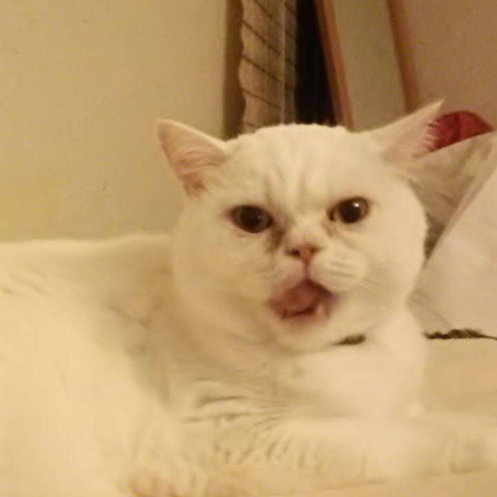 E8f30ff8 a6e3 456a a6ed 517024b4f967