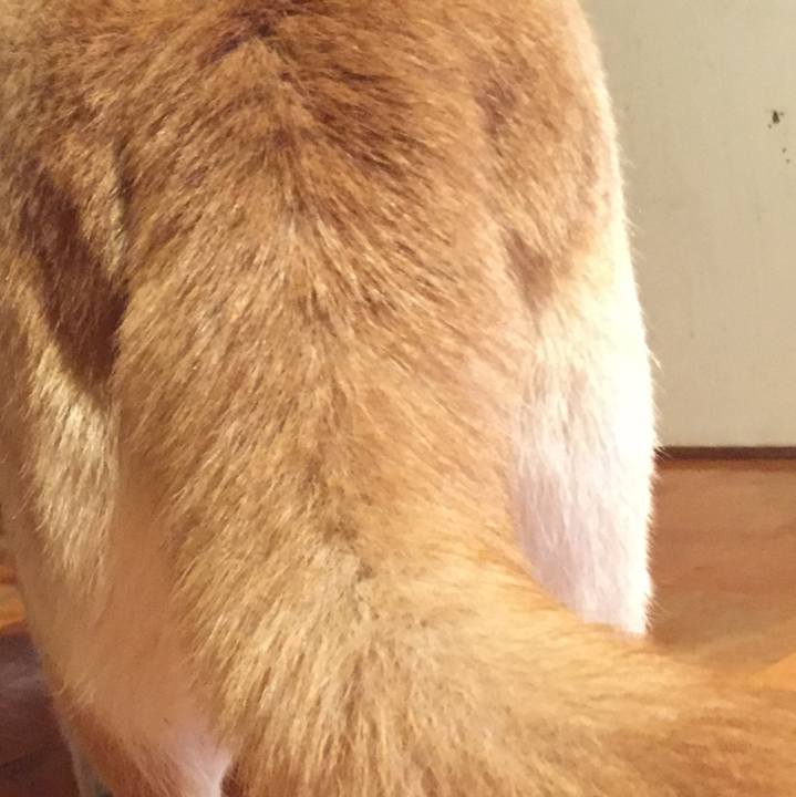 E8f32272 8c44 4b8e 876d 52beceb00a0c