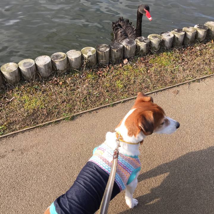 E8f3b77a 1f40 4d43 b1f6 683e136c31d7