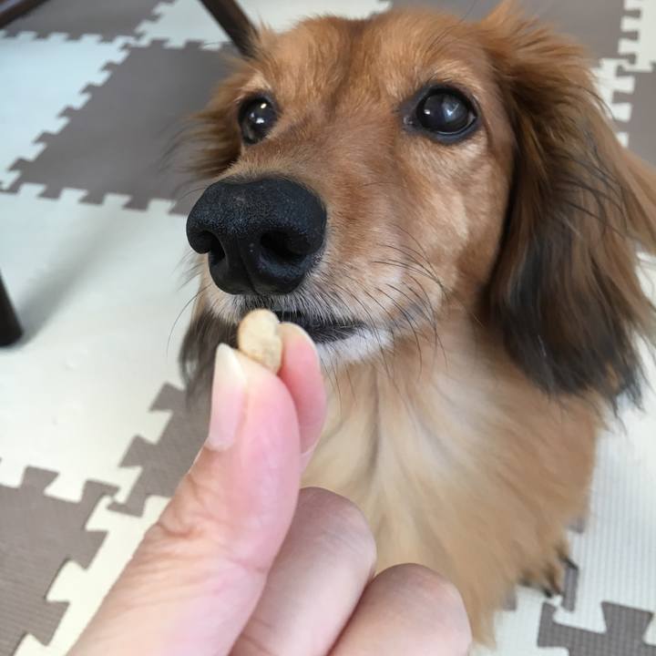 E8f3df57 85f8 4fe5 be2b eeea853a987c