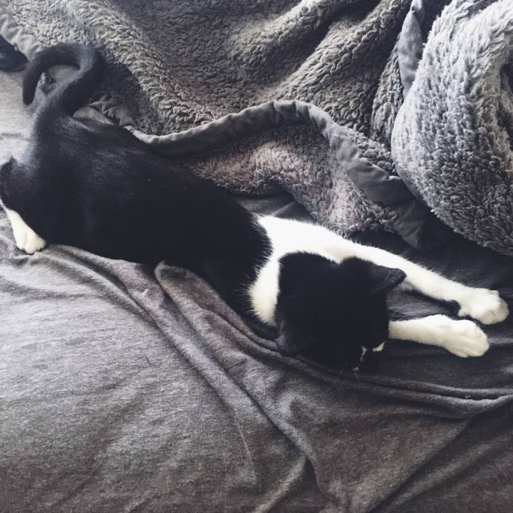 E8f3eb92 7202 48af b4e7 d1c3d8cec04f