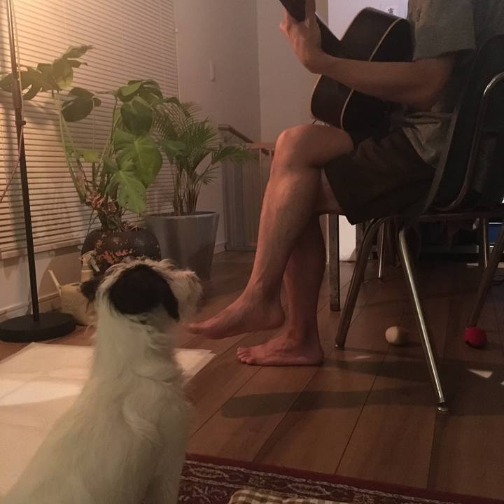 E8f4498c 3f94 46d9 9ac4 573334597c5d