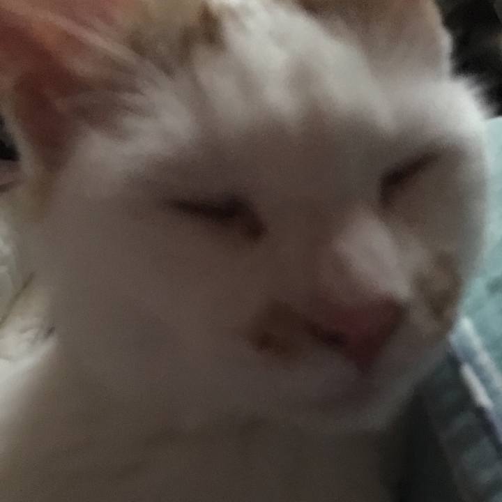 E8f48206 e943 4c67 93e2 78cc3abb8ca1