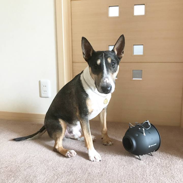 E8f4d096 eaaa 4c26 a1a2 09ecd2965f1a