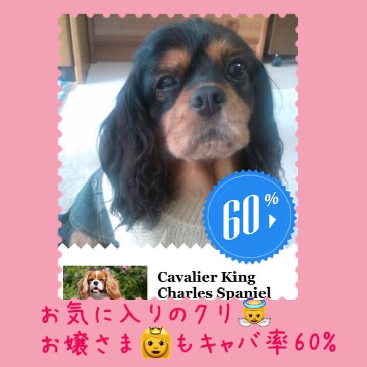 E8f54049 15bf 425e bd4b 9cc1b9c95c16