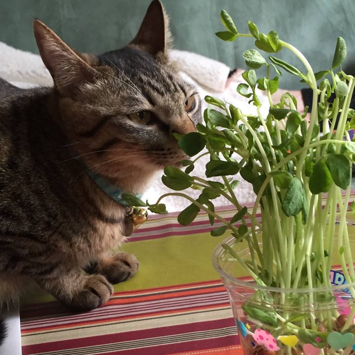 E8f5fee1 2f17 4c70 93d9 019ad416b0ae