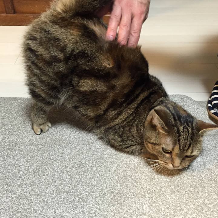 E8f6b55b bb6c 4807 a94b 5f2af709faa0