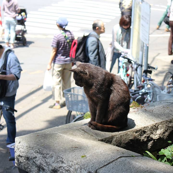 E8f6b837 f7fb 4c92 9447 e5295c8c30a2