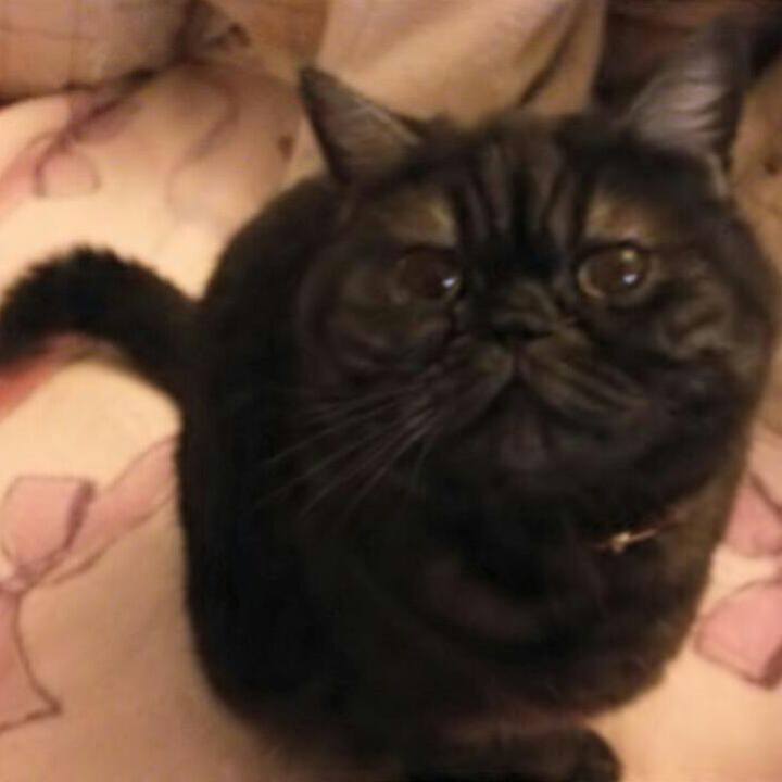 E8f6f1c5 7f63 42f8 83d2 4f829f30f351