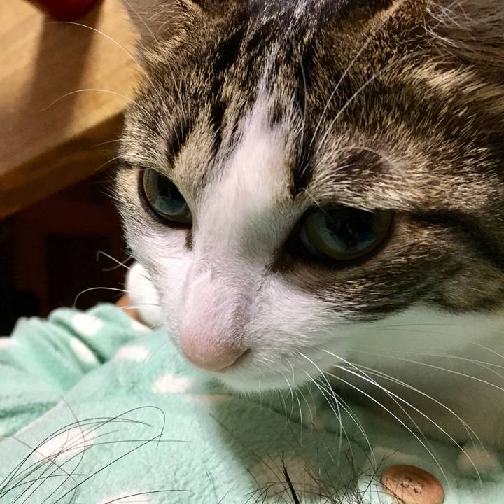 E8f712cd 5bea 4b5d b11f d16470a61838