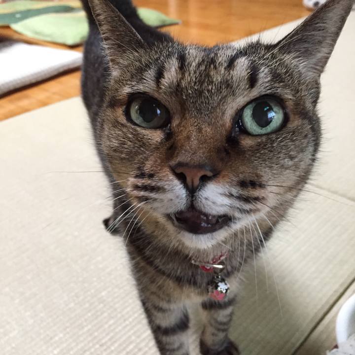 E8f714dd a207 45a1 af0f f67b9609ea12