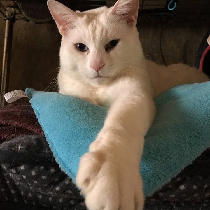 E8f7392c d59e 4876 b5f4 5bf7e6ad14e9