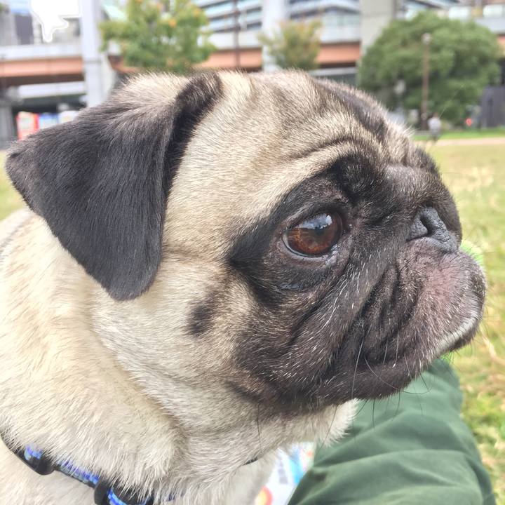 E8f762b7 31b0 4361 8572 f15cc070392f