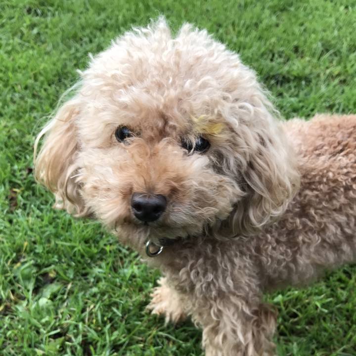 E8f7a480 590e 4db6 870b 97bf3532ab4e