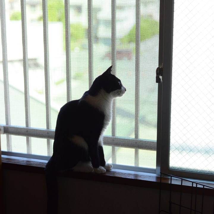 E8f7b9f2 7e1e 407e 9b96 63071fb628a8