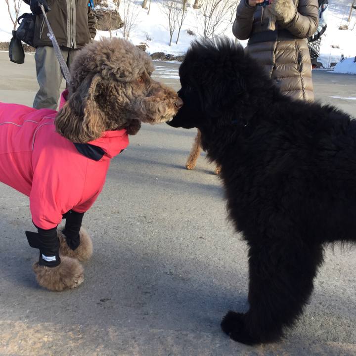 E8f7ccee 4624 4b24 a8a6 8dc54036ed3c