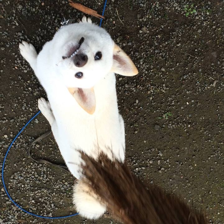 E8f8104e 01ea 4b19 a046 78b71c003535