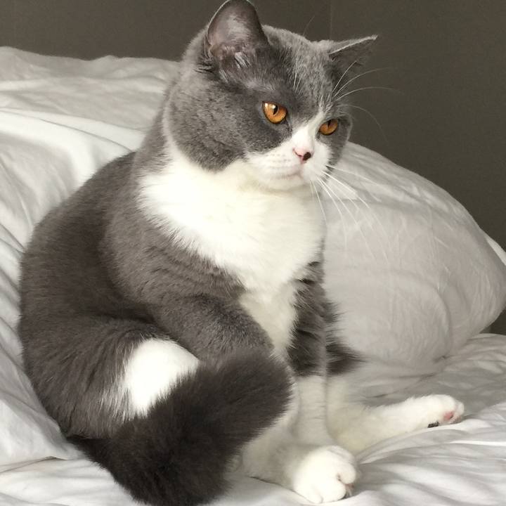 E8f8841b 50b6 4afd 9ab1 eab10d6b6574