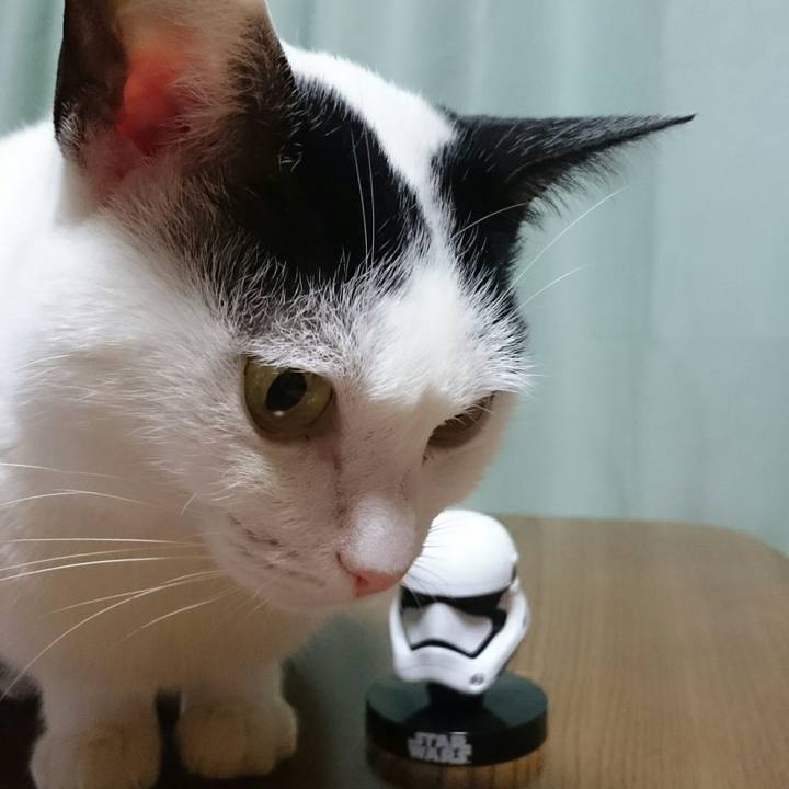 E8f94c07 588f 4c21 86e6 794c0b9df467