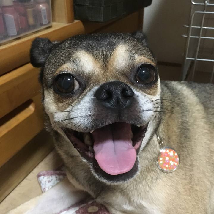 E8f964ab 1141 46dc 938e 2914f1ab34e8