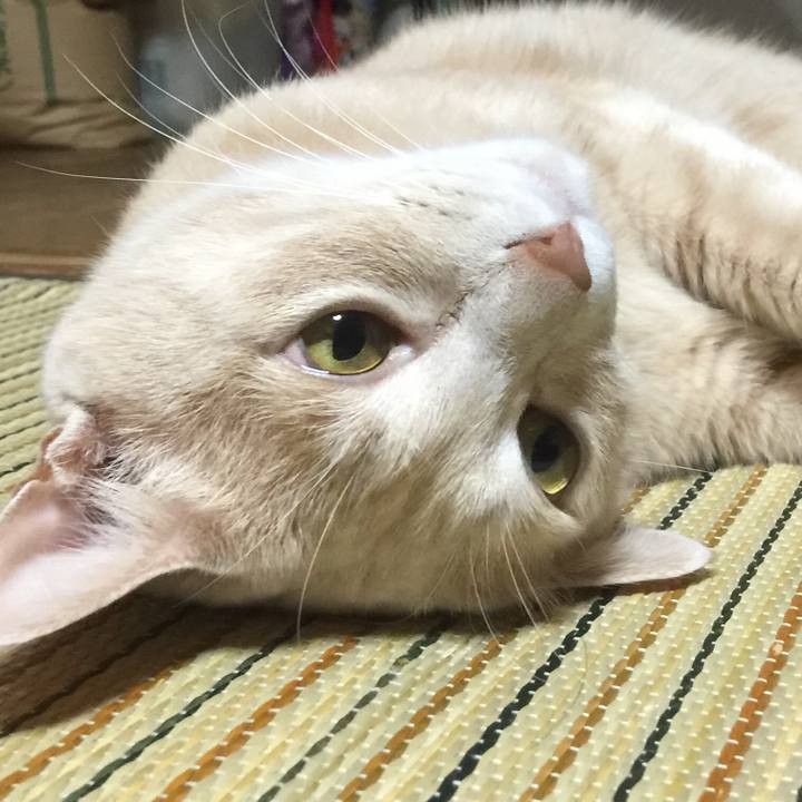 E8f9c72f de58 42d1 9e45 7d57f9ee7285