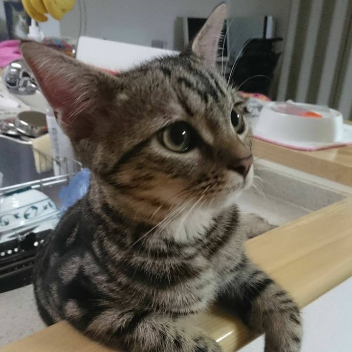 E8f9e306 7fa2 48bc a68f 8195707c7d8c