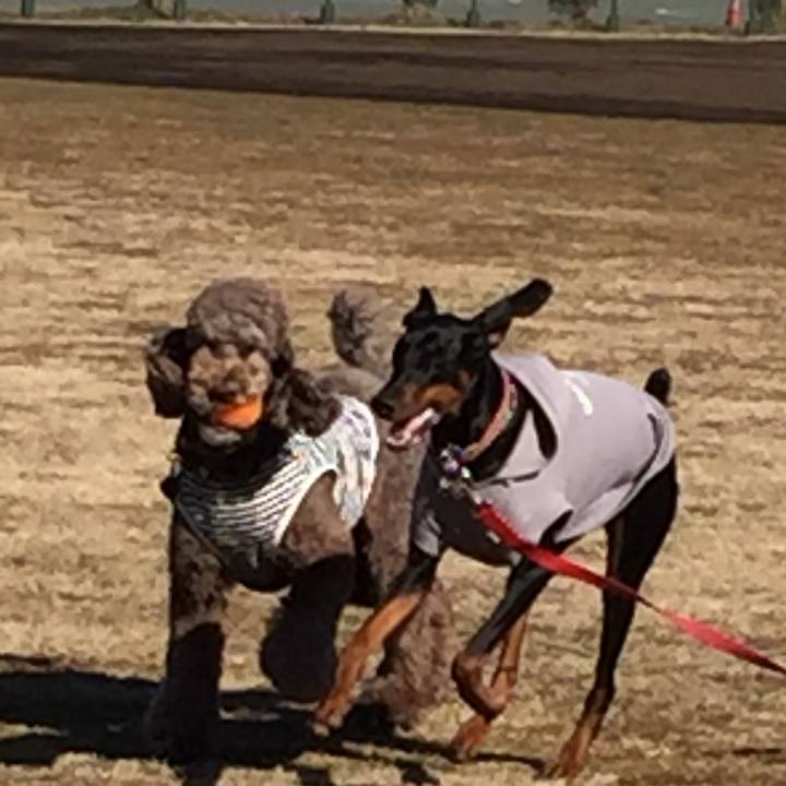 E8fa7c70 2875 4472 b900 cb3c9bfbca41