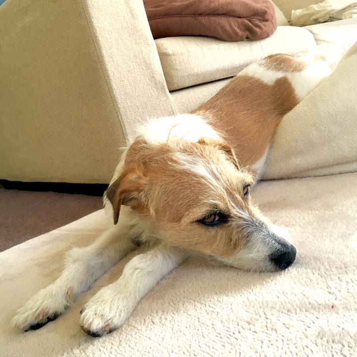 E8faab47 d891 4d2b a1f5 60a8cb00e3a5