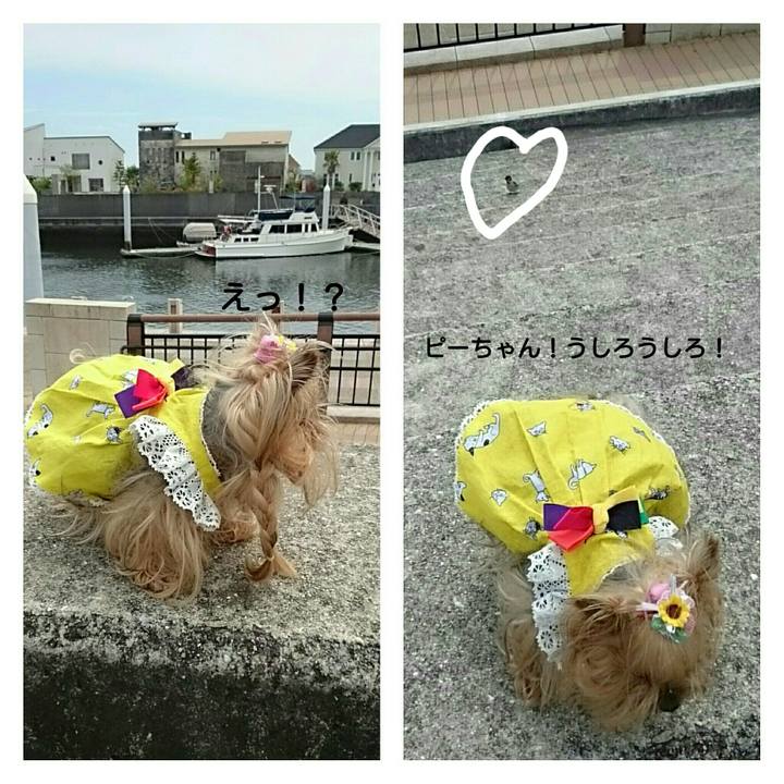 E8fae126 d861 4a20 9ab6 9c75dd7f1d1e