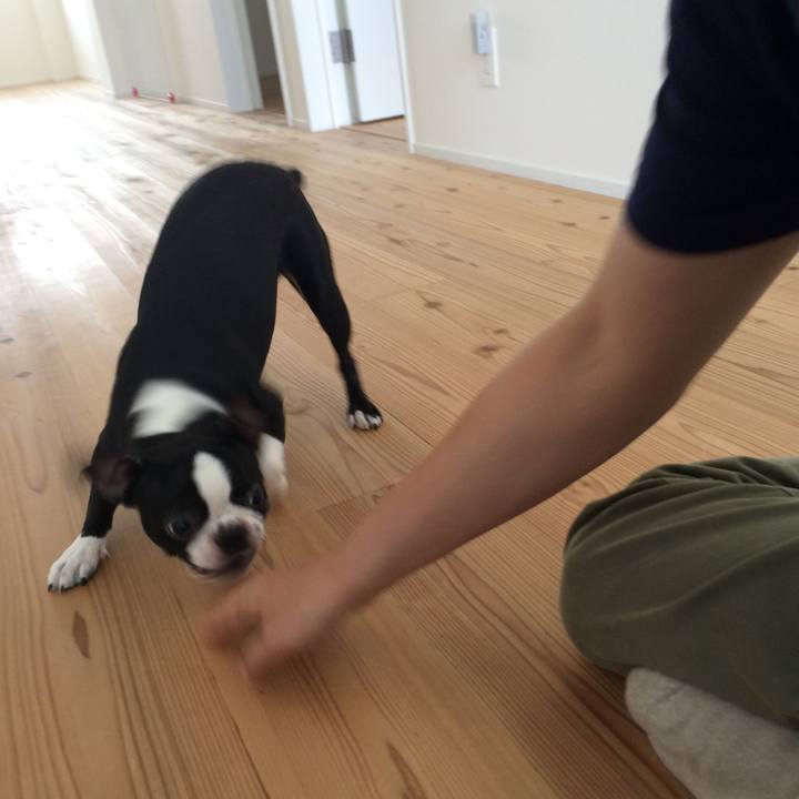 E8faebc1 264b 43fe ac4a ce96aff91b5b