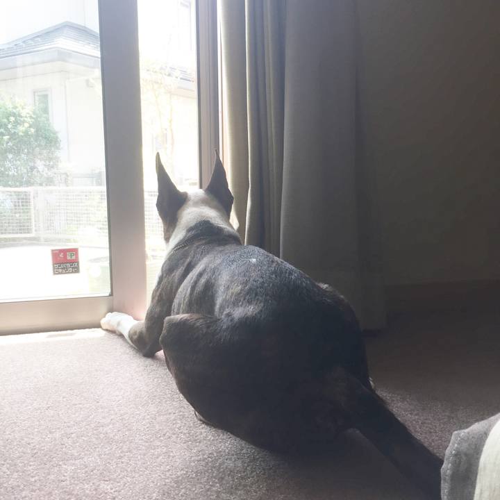 E8fb2267 624d 498f a38e 574c48e90291