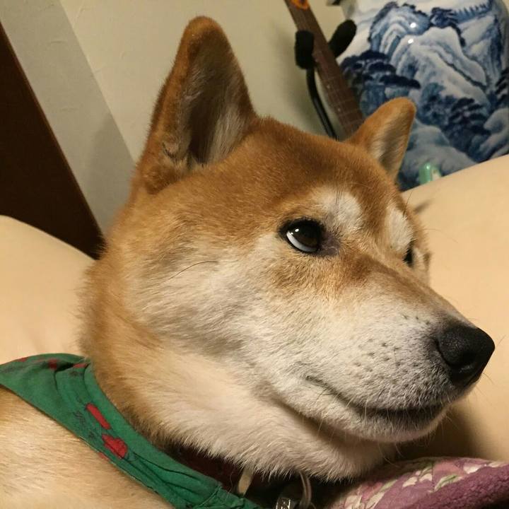 E8fb79ac cba9 4c31 9e7a 148d19075d87