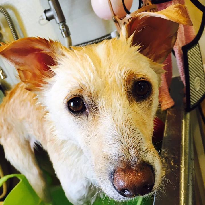 E8fbcc21 8bbc 43a8 81e0 862d1aaf626b