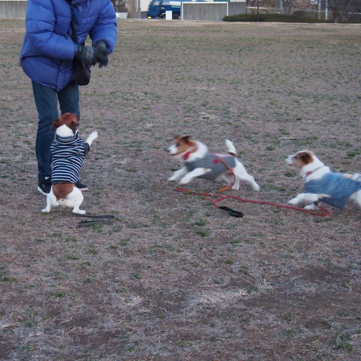 E8fbe94a 58a9 494e abe3 4fe45b405838