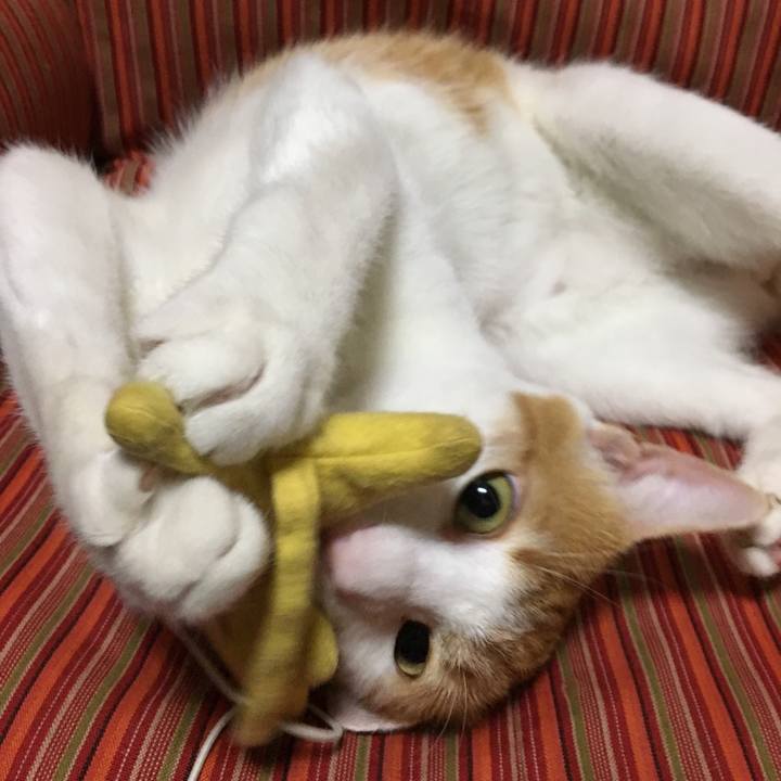 E8fc4a92 cda1 4be5 b1ec 4f45358a32bf